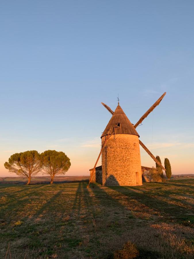 Gite De Charme En Pleine Campagne. Havre De Paix Villa Condom Buitenkant foto